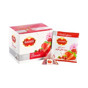 Red Fruits Herbal Tea by Badiee, 12 pieces