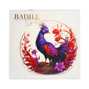 زعفران نگین سیگنیچر بدیعی 300 گرم